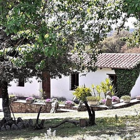 Sorgono B&B I Menhir المظهر الخارجي الصورة
