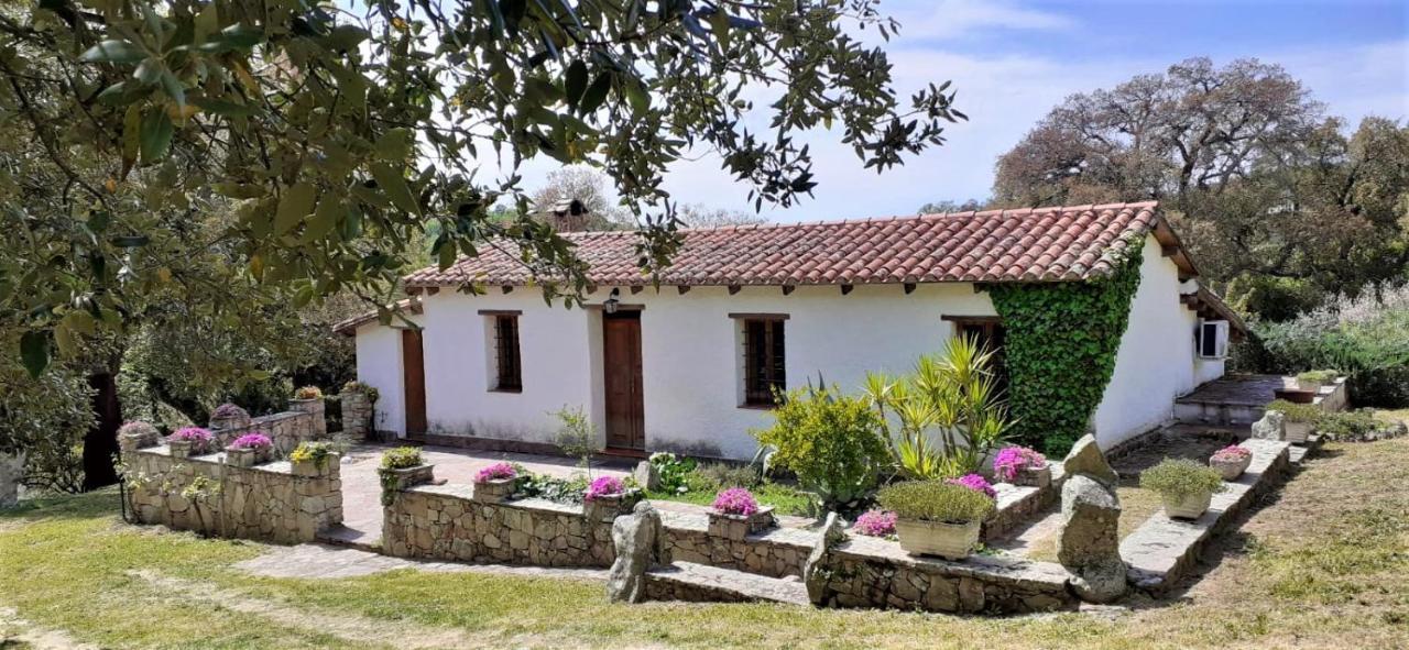 Sorgono B&B I Menhir المظهر الخارجي الصورة