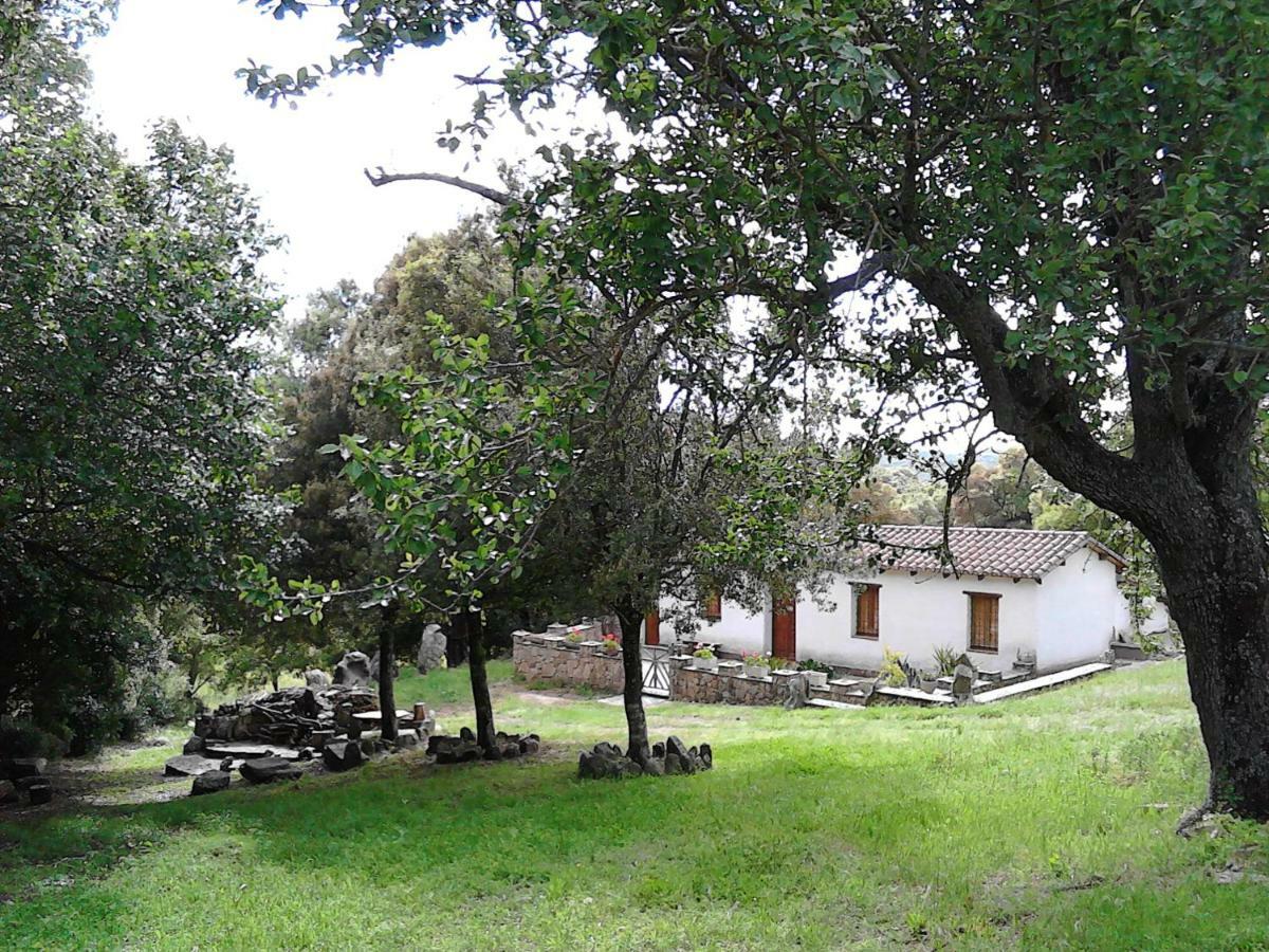 Sorgono B&B I Menhir المظهر الخارجي الصورة