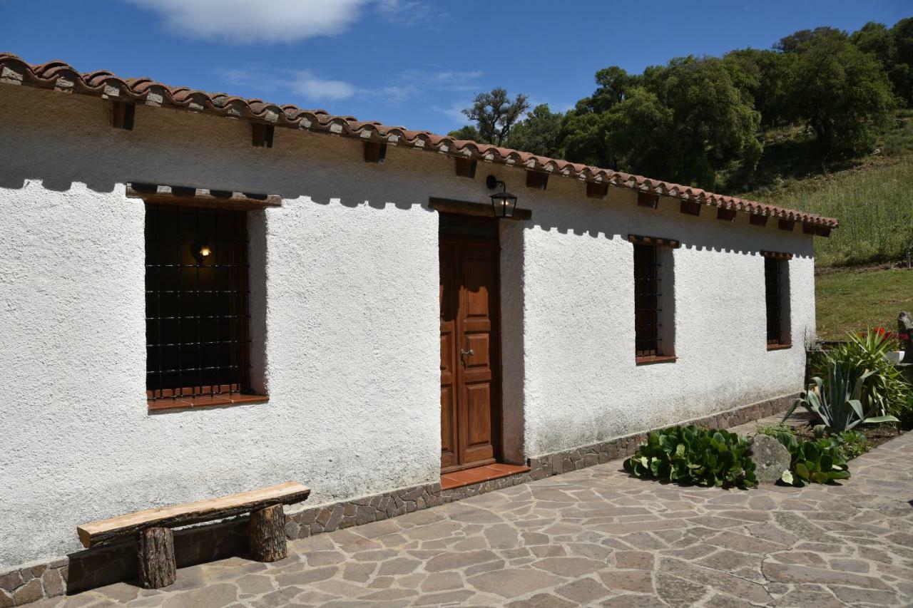 Sorgono B&B I Menhir المظهر الخارجي الصورة