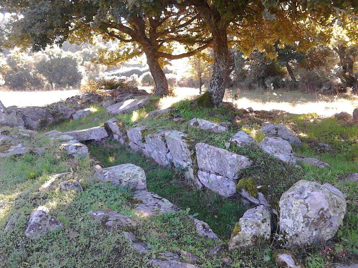 Sorgono B&B I Menhir المظهر الخارجي الصورة