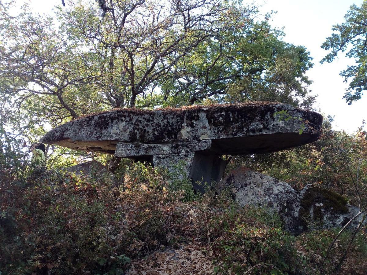 Sorgono B&B I Menhir المظهر الخارجي الصورة